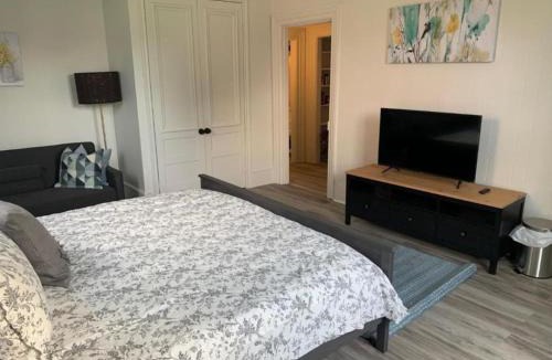 Wellington Apartment | County Cove - Picton Suite - downtown Wellington