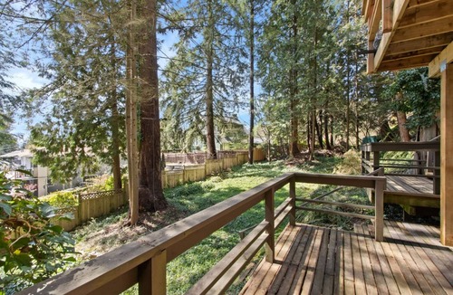 North Vancouver Apartment | Cozy 2BD guest suite in North Van!