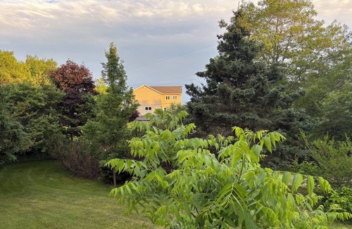 Bayswater Cottage | COZY SOUTH SHORE COTTAGE CLOSE TO THE BEACH