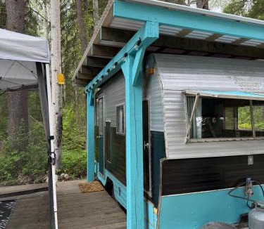 Golden Other | Cozy Vintage Camper, the Tealy Wheely