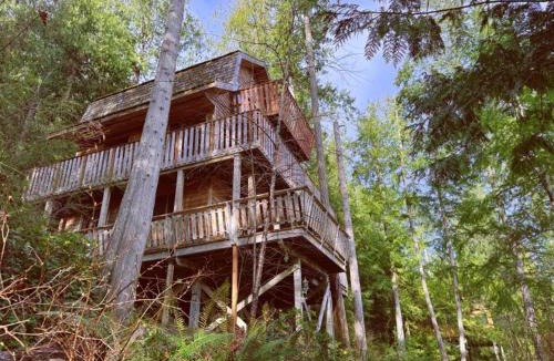 Sliammon Cabin | Desolation Sound Resort