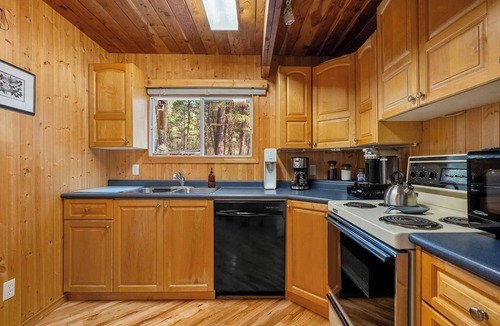 Brisco Cabin | Dorothy in the Woods | Fire Pit | Fireplace | Yard