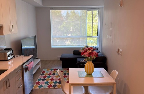 Surrey Apartment | Downtown Luxury Suite