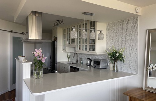 James Bay Apartment | Downtown View