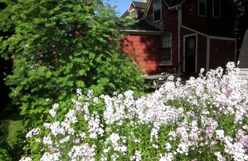 Charlottetown House | DOWNTOWN * VINTAGE VACATION HOUSE * 3 BEDROOMS * LICENSED SINCE 2007