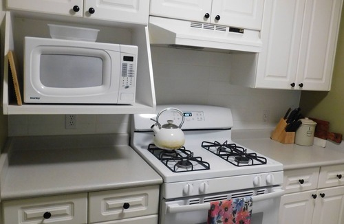 Courtenay Apartment | Drive Up Condo - Walk to Mount Washington