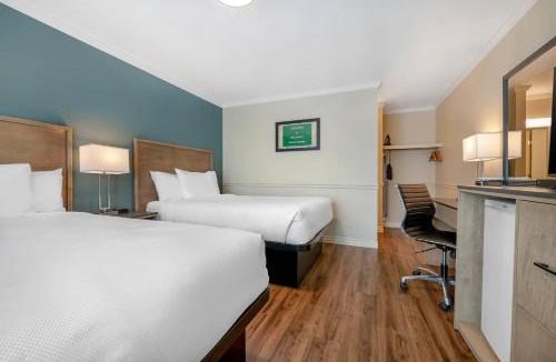 Central Okanagan Cabin | Econo Lodge Inn & Suites