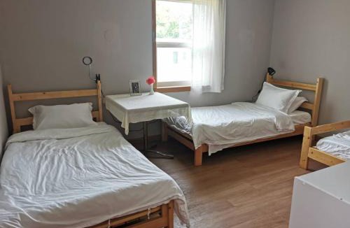 Commercial Cross Hostel | EcoSun Hostel
