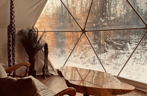 Rodney Cabin | Forest Site Under the stars