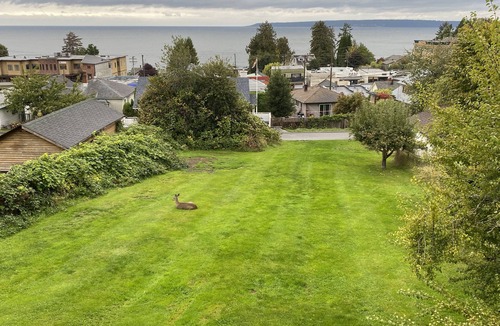 Powell River House | Full house
