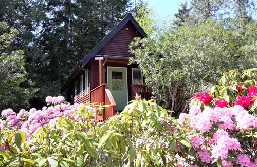Ucluelet Cabin | Great cabin near trails and beaches - 13T