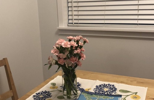Kitsilano Apartment | great Kitsilano Deal !! 1 month+