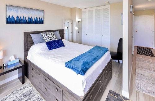 James Bay Condo | James Bay 1 Bedroom Executive Studio Condo with Spectacular Views