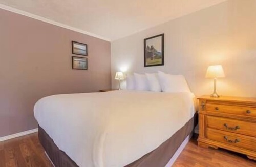 Alert Bay Cabin | (L) Standard Double Cabin (non pet friendly)