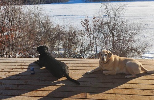 Cranbrook House | Lakefront escape perfect for the family