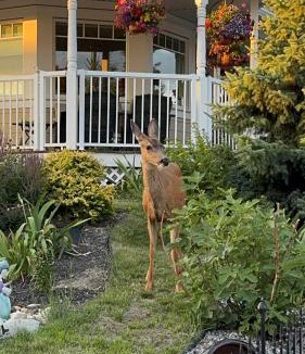 Southwest Mission House | Lakeview Peaceful 2BR Stay in Beautiful Kelowna