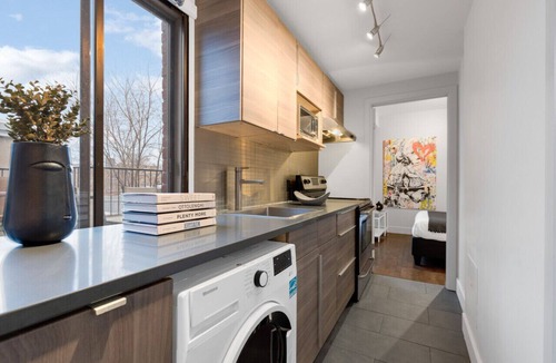 Plateau Mont Royal Apartment | LiV MTL Soho Spacious Rooftop Suites for Groups Near Downtown Montreal