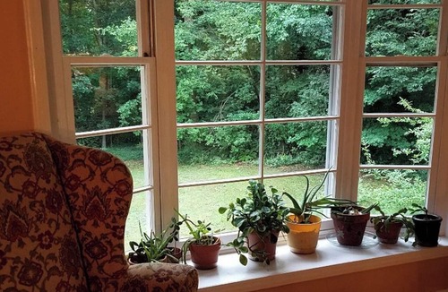 North Garrett Road House | Lovely, Spacious & Sunny: Sleeps 6 - Near Duke, UNC & Downtown Durham w/Nature!