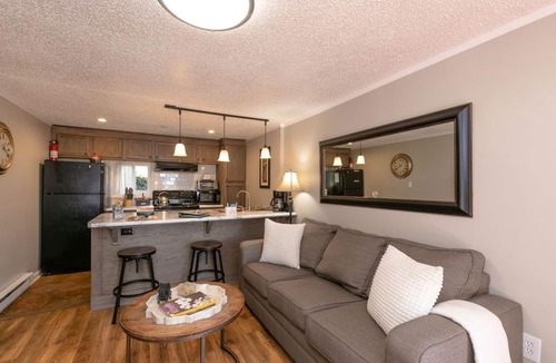 Kenilworth Ski Chalet | Lower Berne Chalet 4 Mins to DT AVL, 10 Mins to Blue Ridge Parkway, Dog Friendly