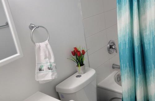 Fort Gary Apartment | Luxury two bedrooms in a modern basement