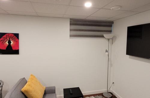 Fort Gary Apartment | Luxury two bedrooms in a modern basement