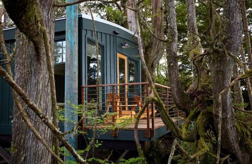 Tofino Cabin | Middle Beach Lodge