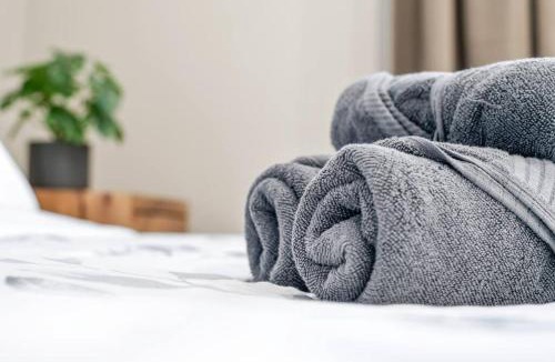 North Central Edmonton Apartment | Modern Studio Unit - Close to DT