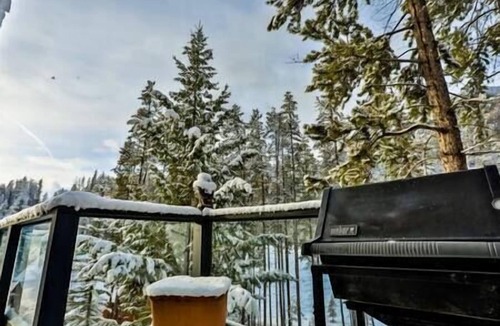 Panorama Ski Chalet | Mount Brewer View Point