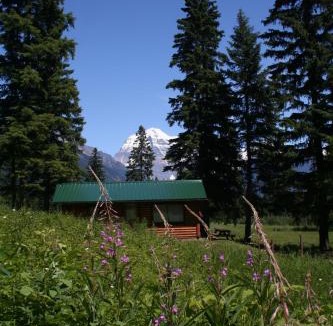 Tete Jaune Cache Cabin | Mount Robson Lodge