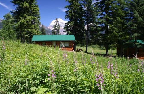 Tete Jaune Cache Cabin | Mount Robson Lodge