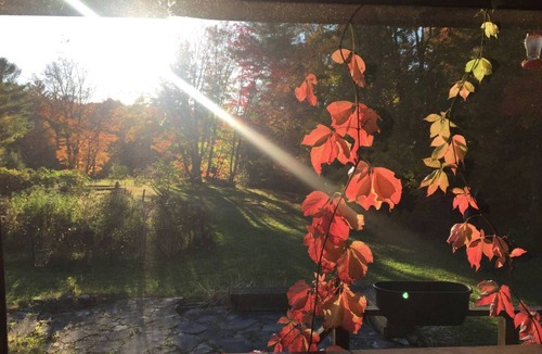 Novar Cottage | Muskoka Cabin No cleaning fee Pool Table Hot Tub Dogs Close to Lakes