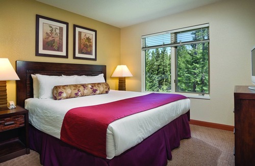 Canmore Resort | Nature and wildlife ahoy!