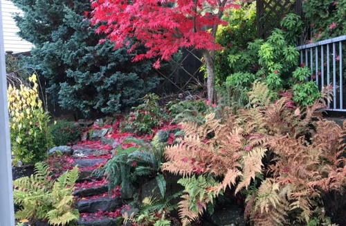 Regional District of Nanaimo House | NeckPoint Treasure BNB