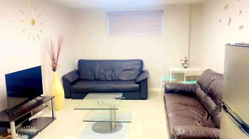 Fort Gary Apartment | New 2 Bedroom Basement suite with private entrance