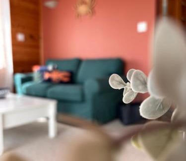 West Quoddy Apartment | Oceanfront Apartments