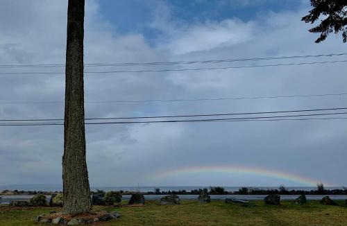 Campbell River Resort | Oyster Bay Resort