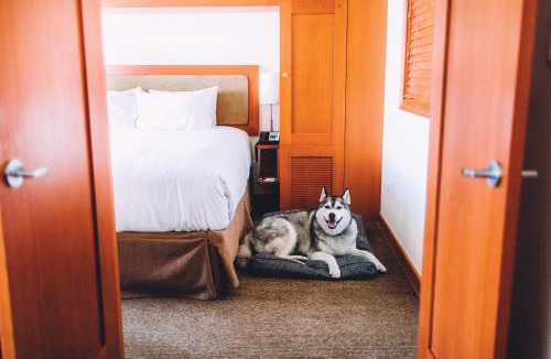 Whistler Village Hotel | Pan Pacific Whistler Village Centre