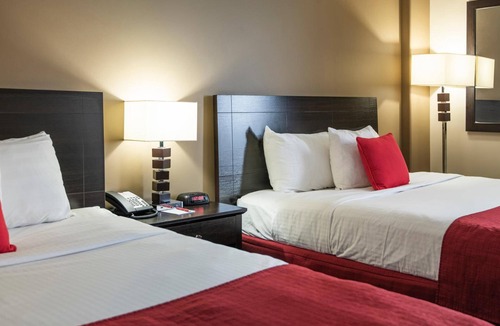 Grande Prairie Hotel | Paradise Inn & Conference Centre