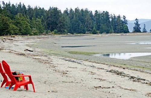 Regional District of Nanaimo Cabin | Pet-friendly Vacation Home near Rathtrevor beach!