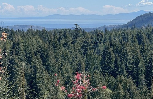 Shawnigan Lake House | Private Brand New Guest House