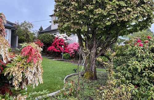 West Vancouver House | Private guest room with separate washroom and entrance