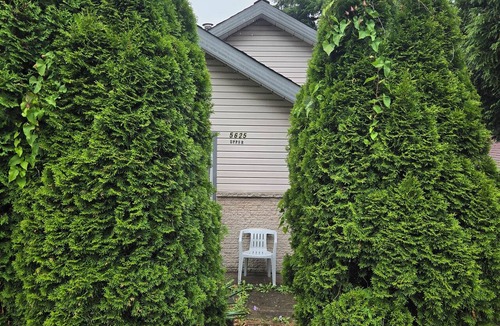 Knight House | Private House on a quiet street of Vancouver