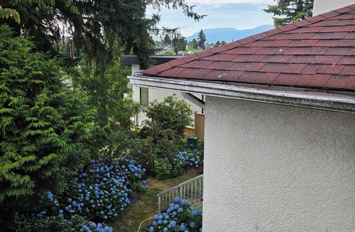 Knight House | Private House on a quiet street of Vancouver