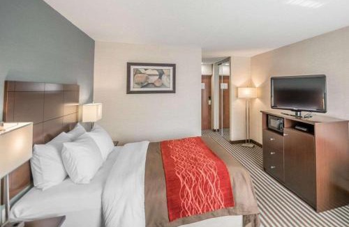 Corning Hotel | Quality Inn Corning