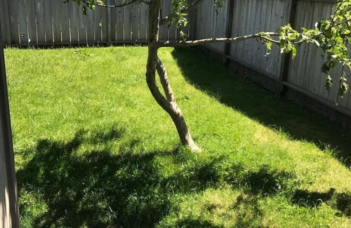 Eureka House | Quiet 2BR Garage Yard EV Charger – Eureka