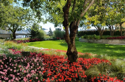 Richmond Hotel | Radisson Blu Vancouver Airport Hotel & Marina