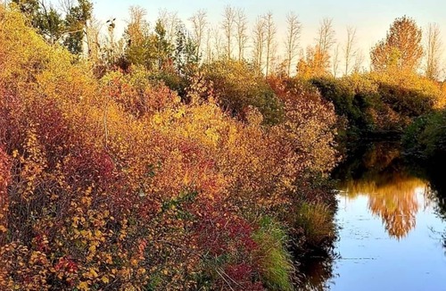 Legal Cottage | Riverside Acres