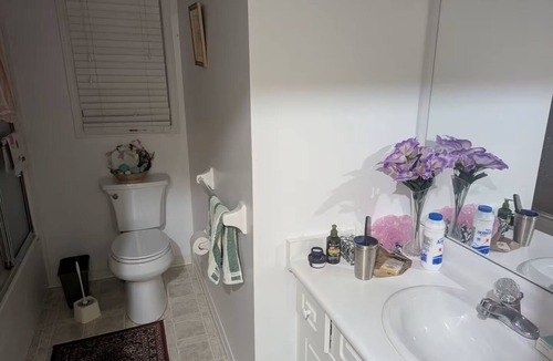 London House | Room available in the luxurious Masonville Mall area in London, Ontario.
