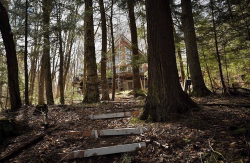 Rosseau House | Rosseau Cathedral Grove