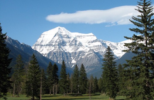 Tete Jaune Cache Cabin | Rustic cabin in the Canadian Rockies!